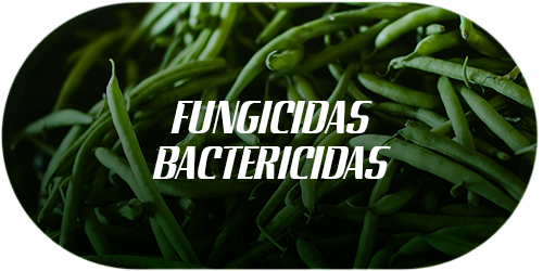 fungicidas, bactericidas