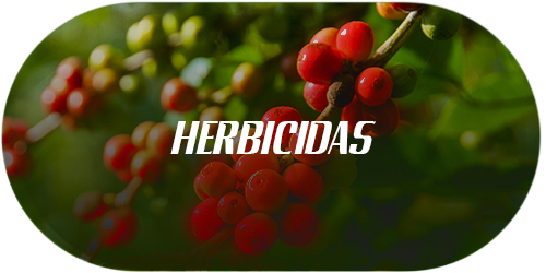 herbicidas
